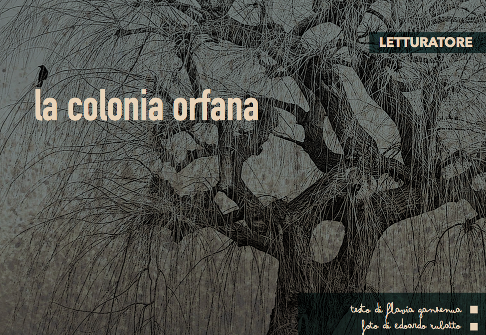 la colonia orfana