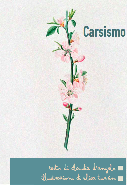 carsismo