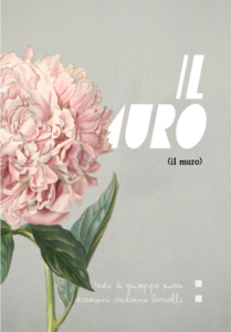 il muro